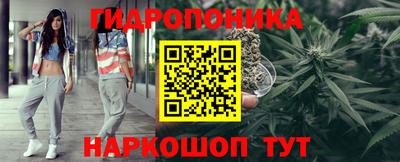 Альфа ПВП Гатчина