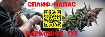 Альфа ПВП Гатчина