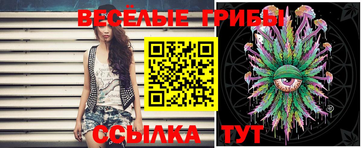 Галлюциногенные грибы Psilocybe Люберцы