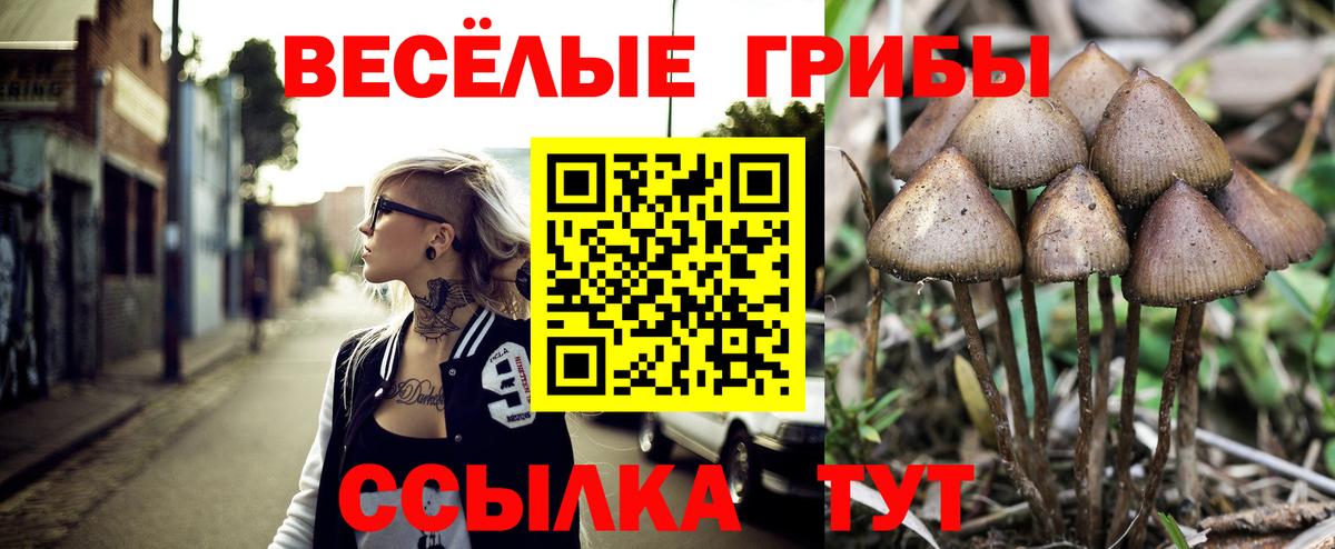 Галлюциногенные грибы мухоморы Люберцы